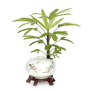 »ó¼¼³»¿ëº¸±â