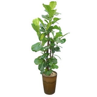 �󼼳��뺸��