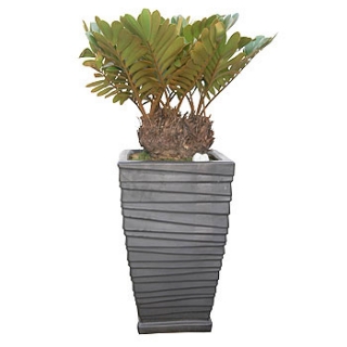 �󼼳��뺸��