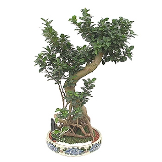 �󼼳��뺸��