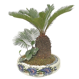 �󼼳��뺸��