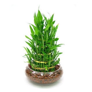 �󼼳��뺸��