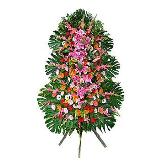 »ó¼¼³»¿ëº¸±â