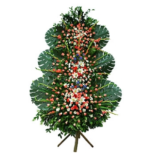 »ó¼¼³»¿ëº¸±â