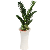 �󼼳��뺸��