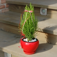 �󼼳��뺸��